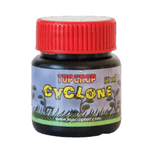 TOP CROP CYCLONE 50CC