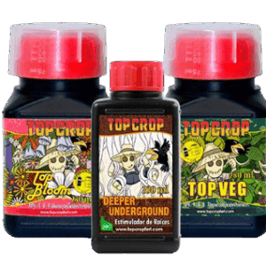 TOP CROP TRIPACK