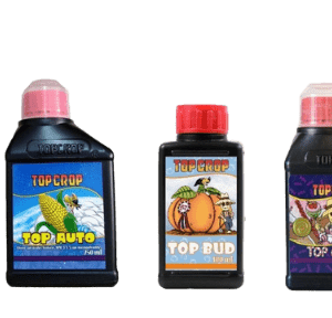 TOP CROP TRIPACK AUTO