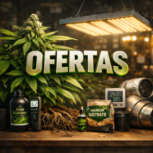 🔥 Ofertas 🔥